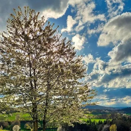 Hocheifelblick * Reifferscheid (Rhineland-Palatinate)